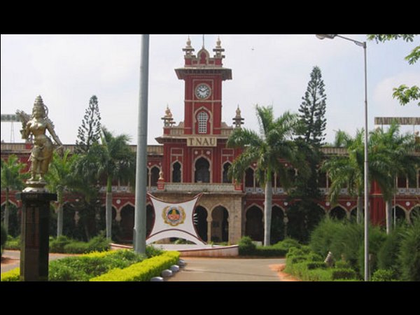 agriculturaluniversitiestoaltercoursesbasedonicarspanelreport